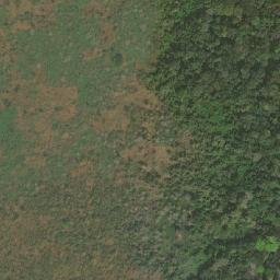 Satellite imagery of Nkolopia, CM