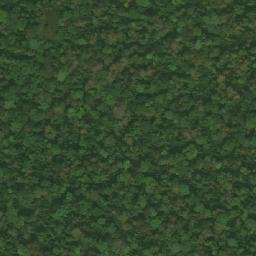 Satellite imagery of Mont Nion, CM