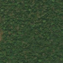 Satellite imagery of Mont Nion, CM