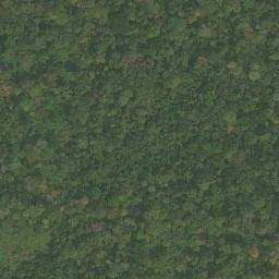 Satellite imagery of Nkolbogo, CM
