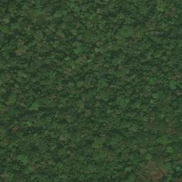 Satellite imagery of Mont Nion, CM