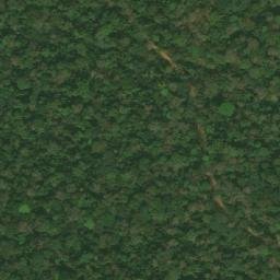 Satellite imagery of Mont Nion, CM