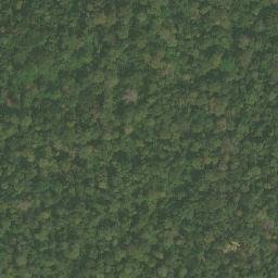 Satellite imagery of Nkolbogo, CM