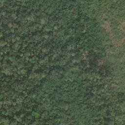 Satellite imagery of Nkolopia, CM