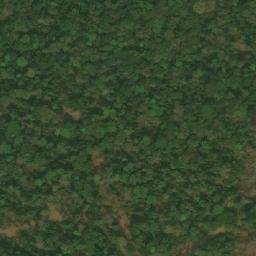 Satellite imagery of Mont Nion, CM