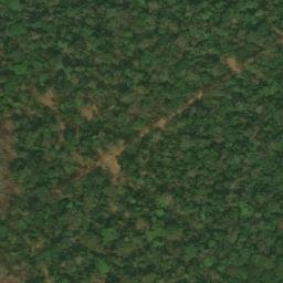 Satellite imagery of Mont Nion, CM
