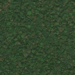 Satellite imagery of Mont Nion, CM