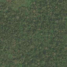 Satellite imagery of Nkolvevo, CM