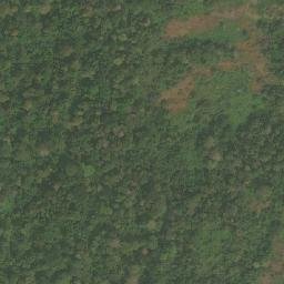 Satellite imagery of Nkolvevo, CM