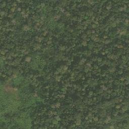 Satellite imagery of Nkolzomo, CM