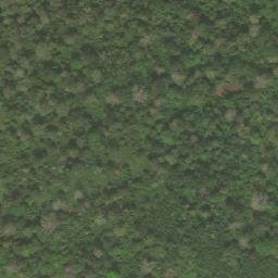 Satellite imagery of Nkoltsada, CM
