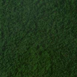 Satellite imagery of Serra do Morcego, BR