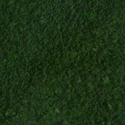 Satellite imagery of Serra do Morcego, BR