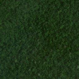 Satellite imagery of Serra do Morcego, BR