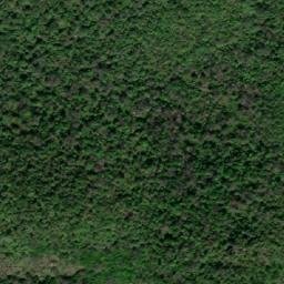 Satellite imagery of Serra do Canaime, BR