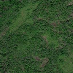 Satellite imagery of Serra do Canaime, BR
