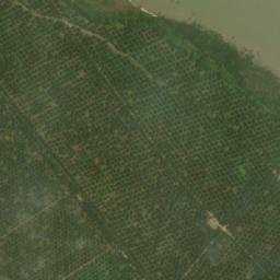 Satellite imagery of Tanjung Putus, ID