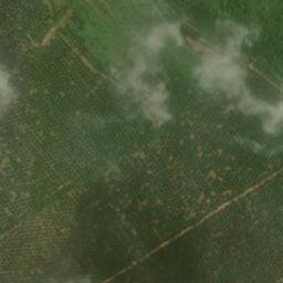 Satellite imagery of Tanjung Putus, ID