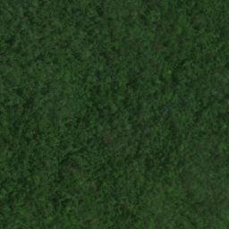 Satellite imagery of Serra do Camaleão, BR