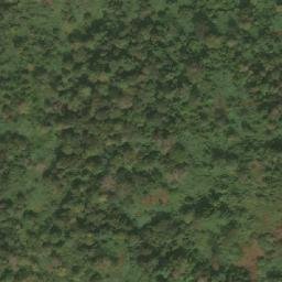 Satellite imagery of Mvonodjigi, CM
