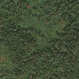 Satellite imagery of Mvonodjigi, CM