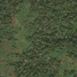 Satellite imagery of Mvonodjigi, CM