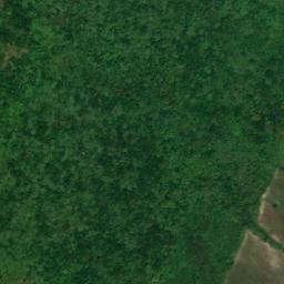 Satellite imagery of Cerro Mandingo, CO