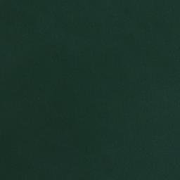 Satellite imagery of Monkey Point, CM