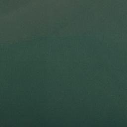 Satellite imagery of Cape Bimbia, CM