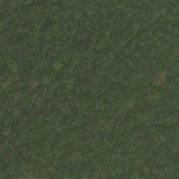Satellite imagery of Nkosing, CM