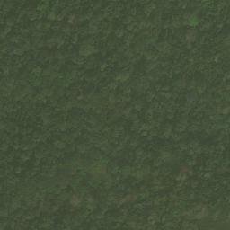 Satellite imagery of Nkosing, CM