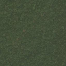 Satellite imagery of Nkosing, CM
