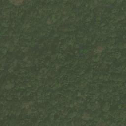Satellite imagery of Nkosing, CM
