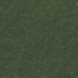 Satellite imagery of Nkosing, CM