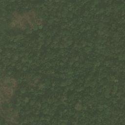 Satellite imagery of Nkosing, CM