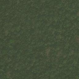 Satellite imagery of Nkosing, CM