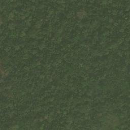 Satellite imagery of Nkosing, CM
