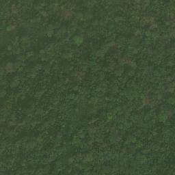 Satellite imagery of Nkontim, CM