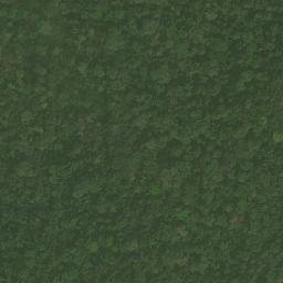 Satellite imagery of Nkontim, CM