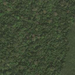 Satellite imagery of Nkoom, CM