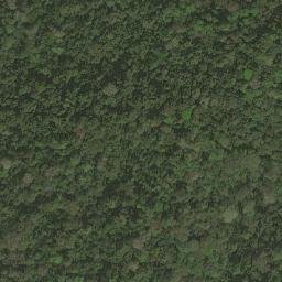 Satellite imagery of Nkoom, CM