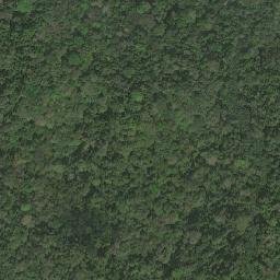 Satellite imagery of Bakondo, CM
