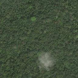 Satellite imagery of Nkongous, CM