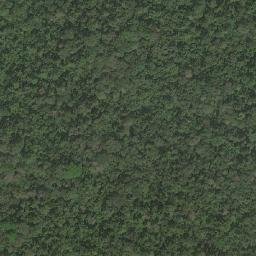 Satellite imagery of Nkongous, CM