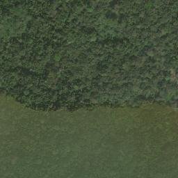 Satellite imagery of Nkongous, CM