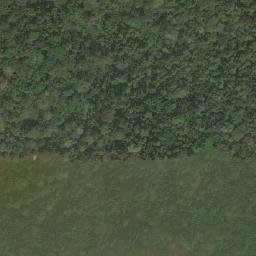 Satellite imagery of Nkongous, CM