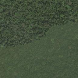 Satellite imagery of Nkongous, CM