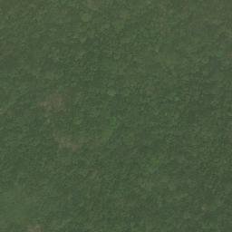 Satellite imagery of Nkongous, CM
