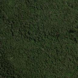 Satellite imagery of Alto del Roble, CO
