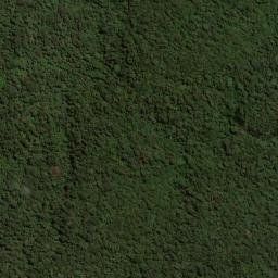 Satellite imagery of Alto del Roble, CO